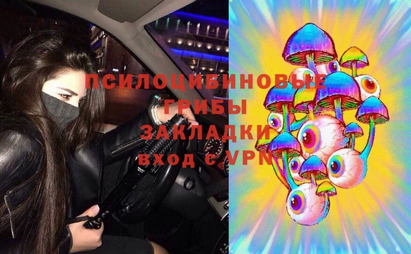 дживик Зеленокумск