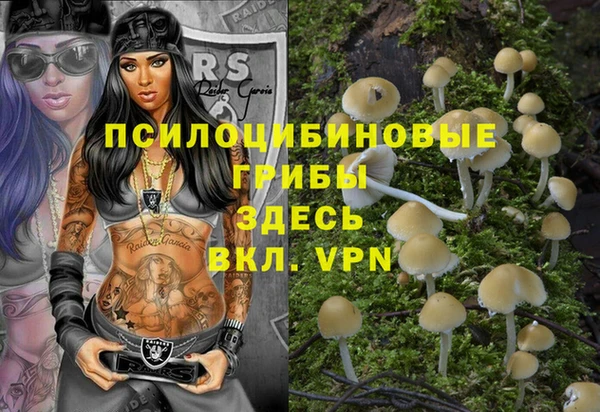 бошки Зерноград